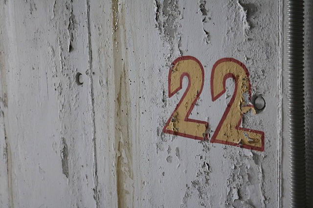 alma 22 numerologia significado