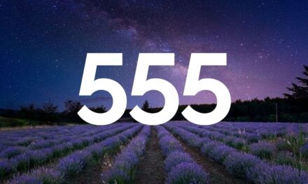 Número 555 | Manifestação, Dinheiro, Relacionamentos & Mais