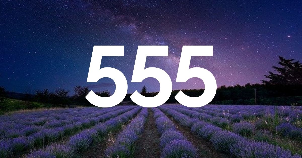 Número 555 | Manifestação, Dinheiro, Relacionamentos & Mais